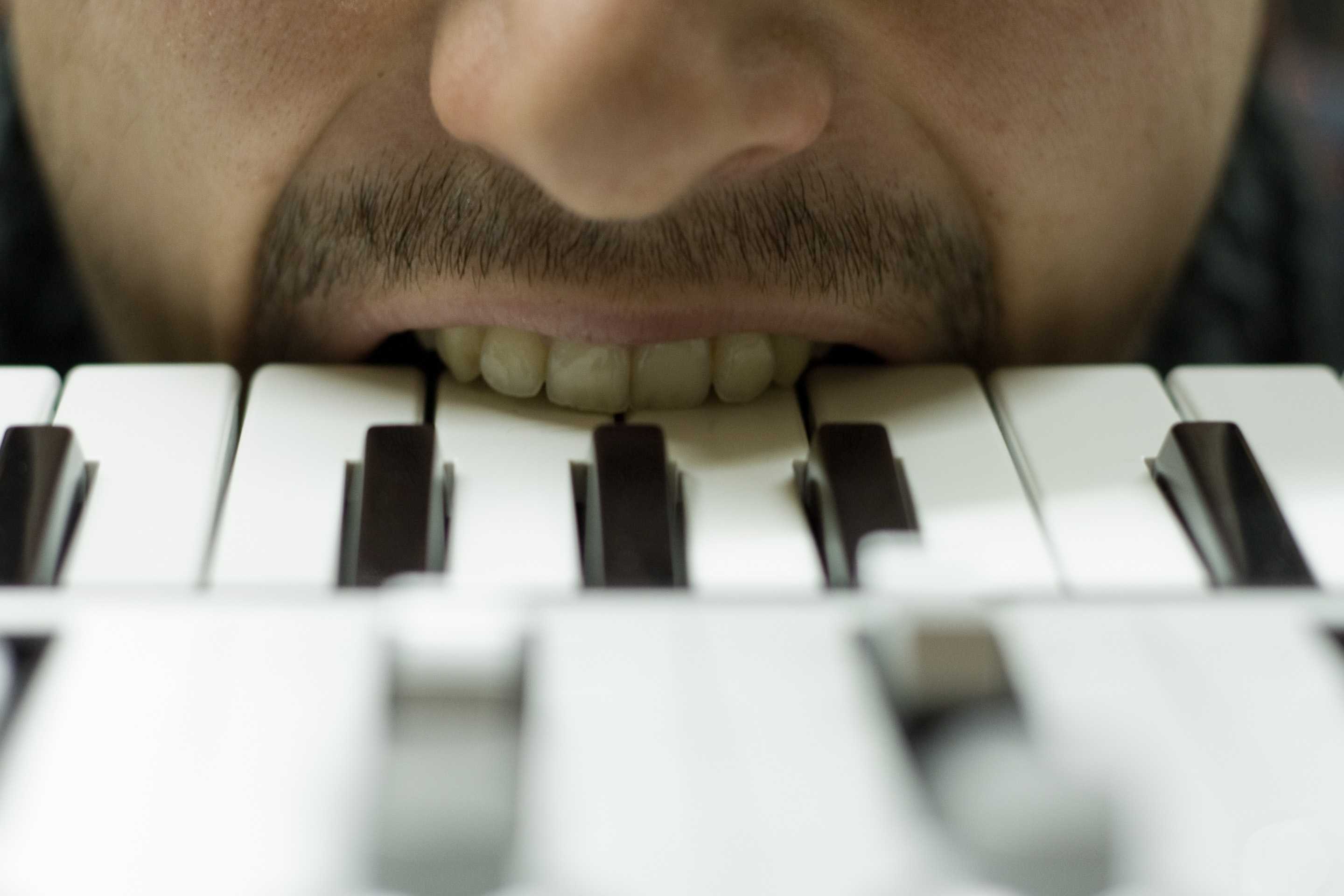 4 · Nicola bites the keys
Click to view previous post