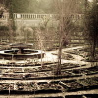 27 · Winter garden, I
Click to view previous post