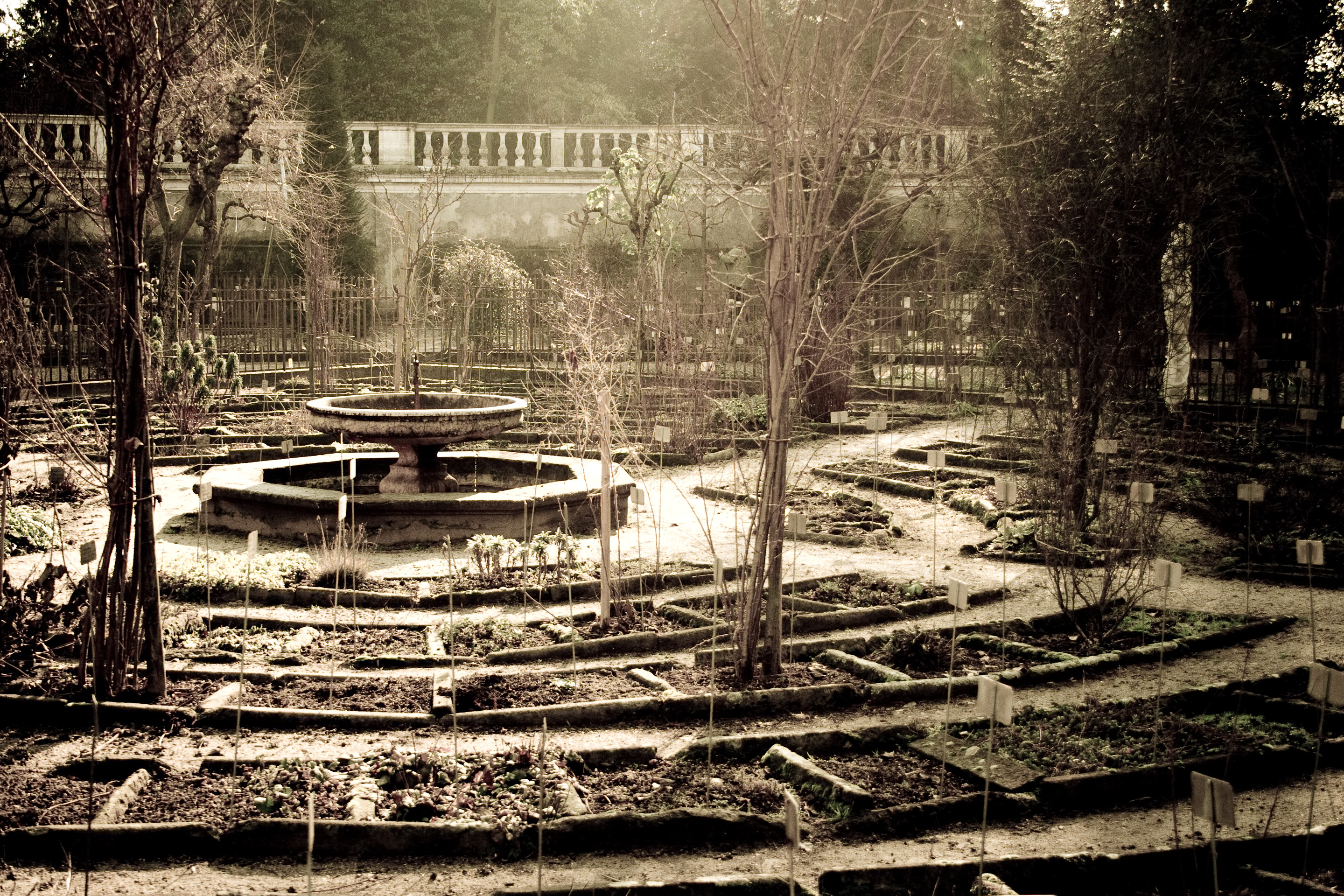 27 · Winter garden, I
Click to view previous post