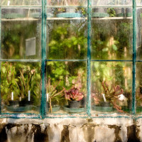 29 · Winter Garden, III