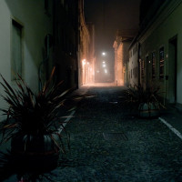 31 · Via Rinaldi
Click to view previous post