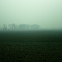 50 · Sunset in the mist, I