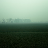 50 · Sunset in the mist, I