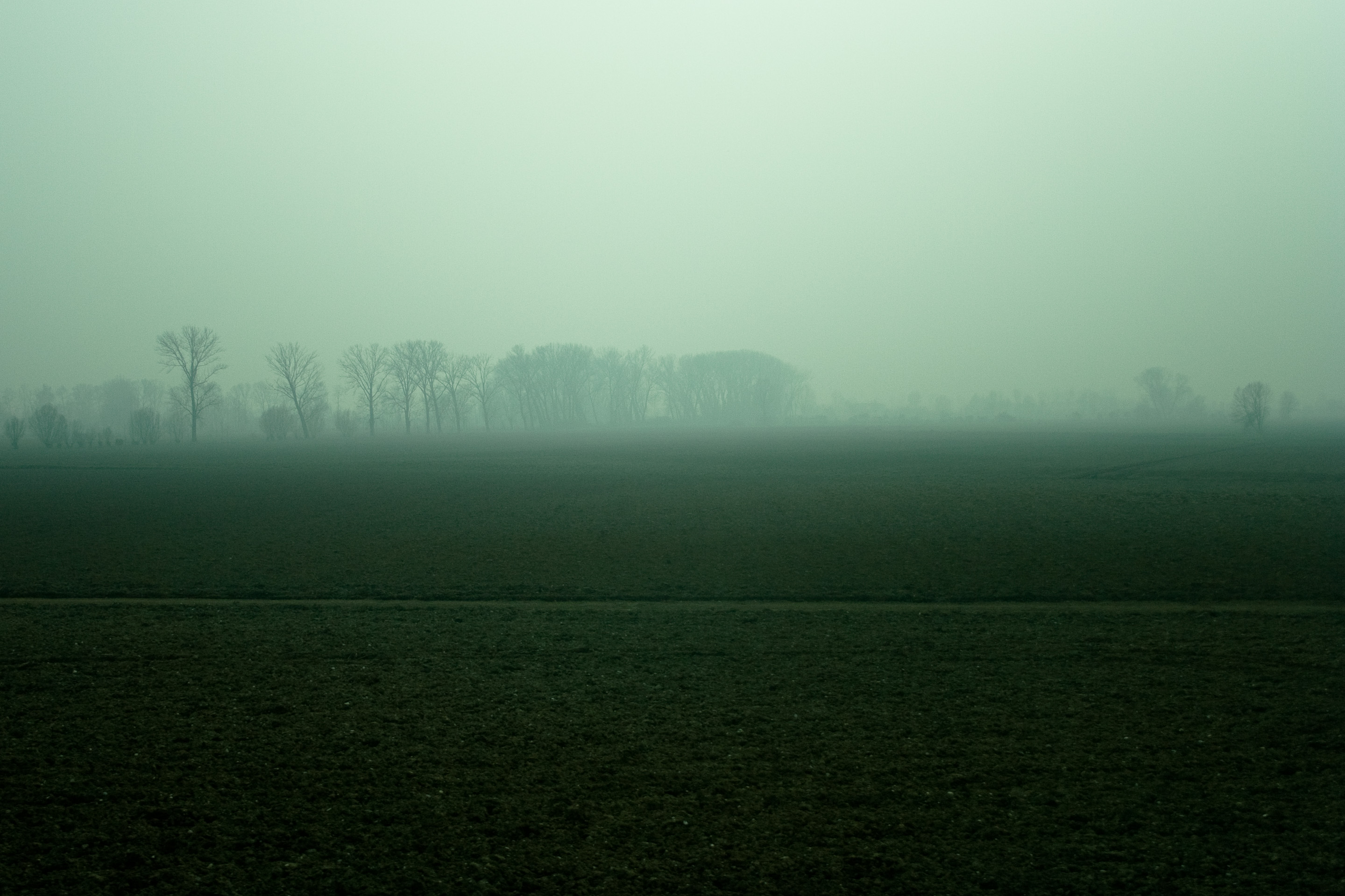 50 · Sunset in the mist, I
Click to view previous post