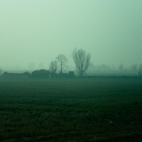 52 · Sunset in the mist, III