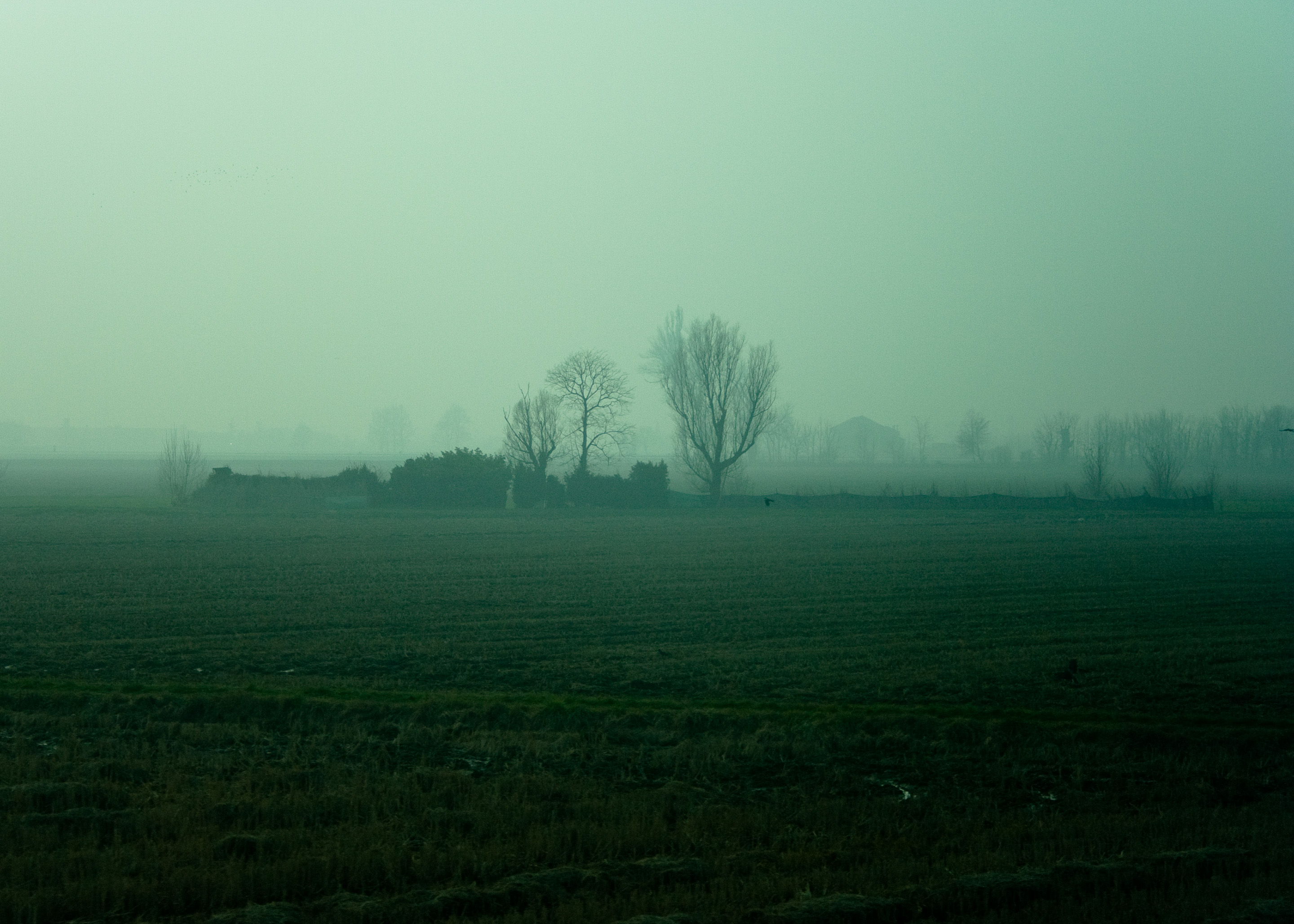 52 · Sunset in the mist, III
Click to view previous post