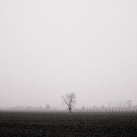 53 · Ascension