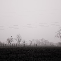 55 · Hang in there