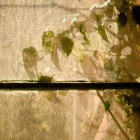 101 · Dirty pane