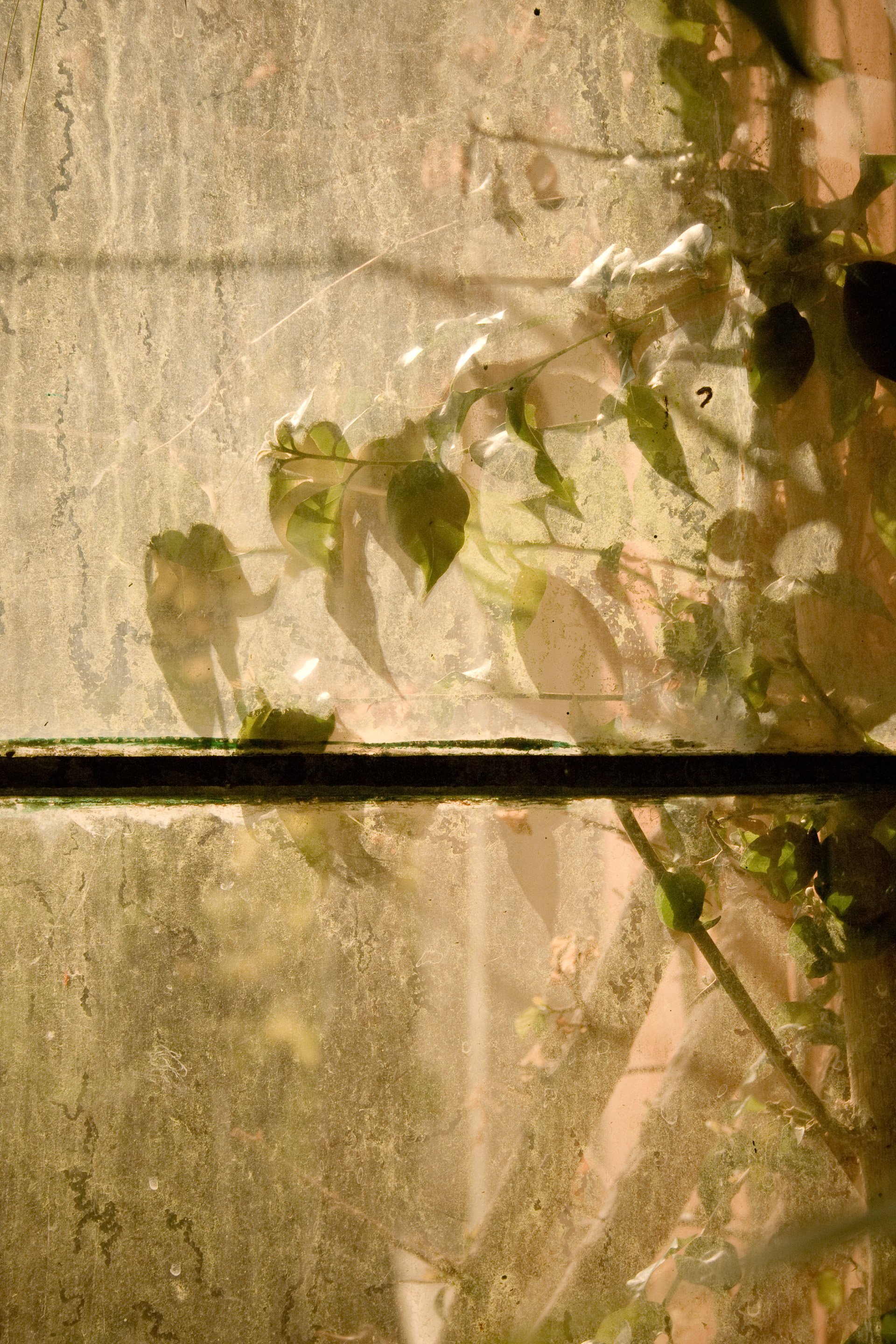 101 · Dirty pane
Click to view previous post