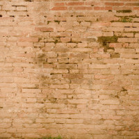 106 · Wall
Click to view previous post