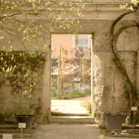 107 · Doorway
Click to view previous post