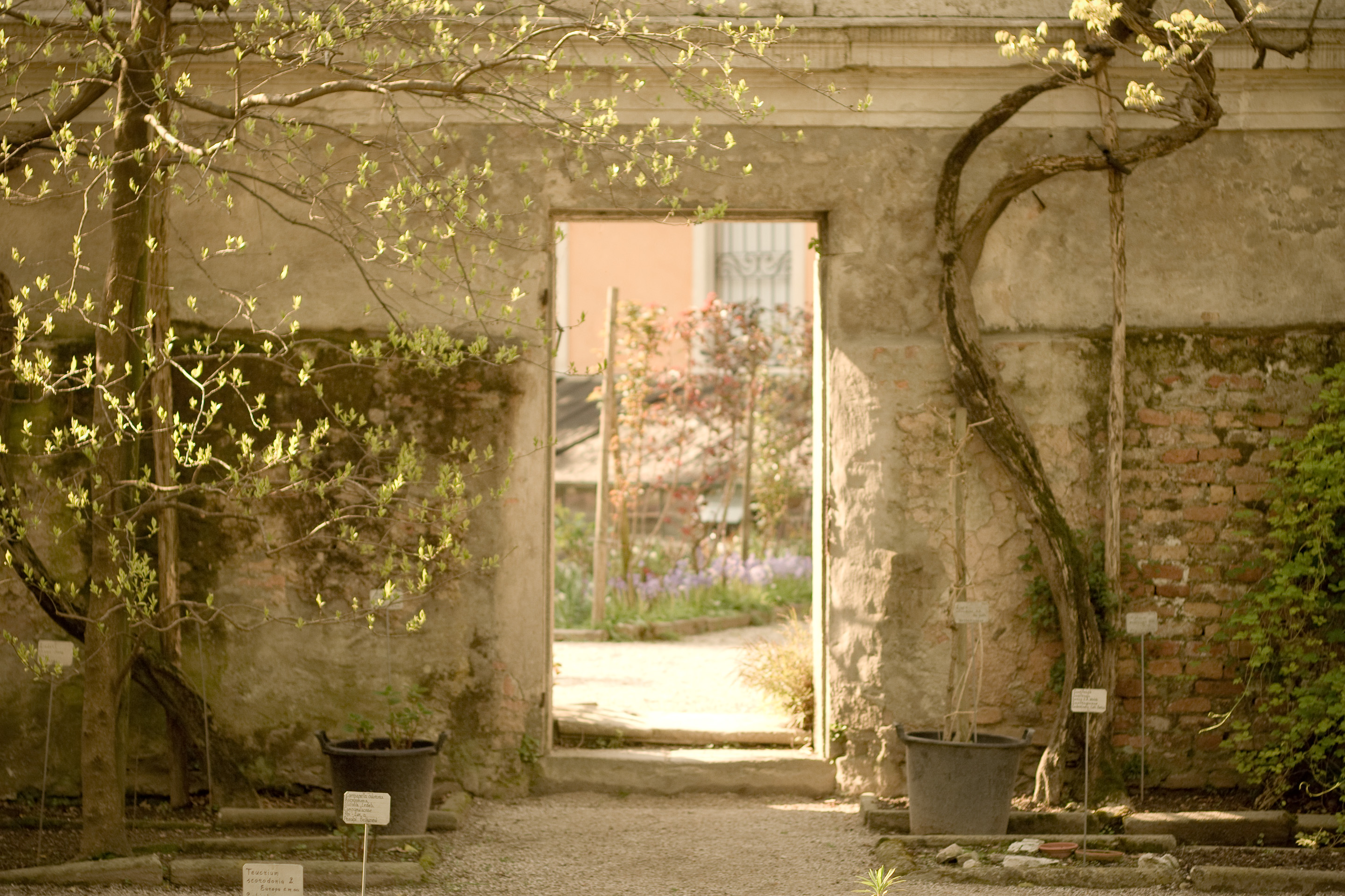 107 · Doorway
Click to view previous post