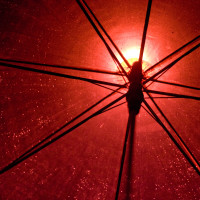119 · Red umbrella
Click to view previous post