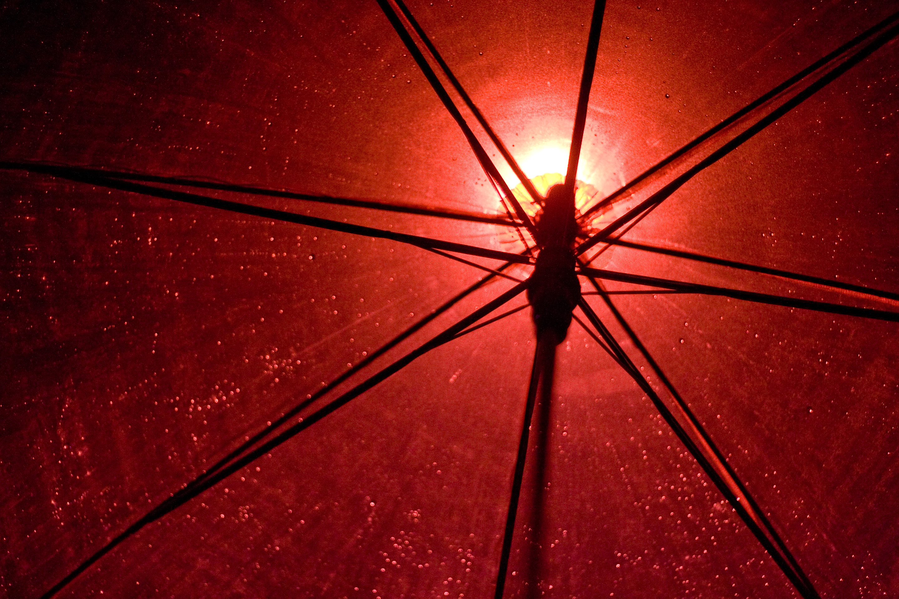 119 · Red umbrella
Click to view previous post