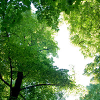 135 · The Breach
Click to view previous post
