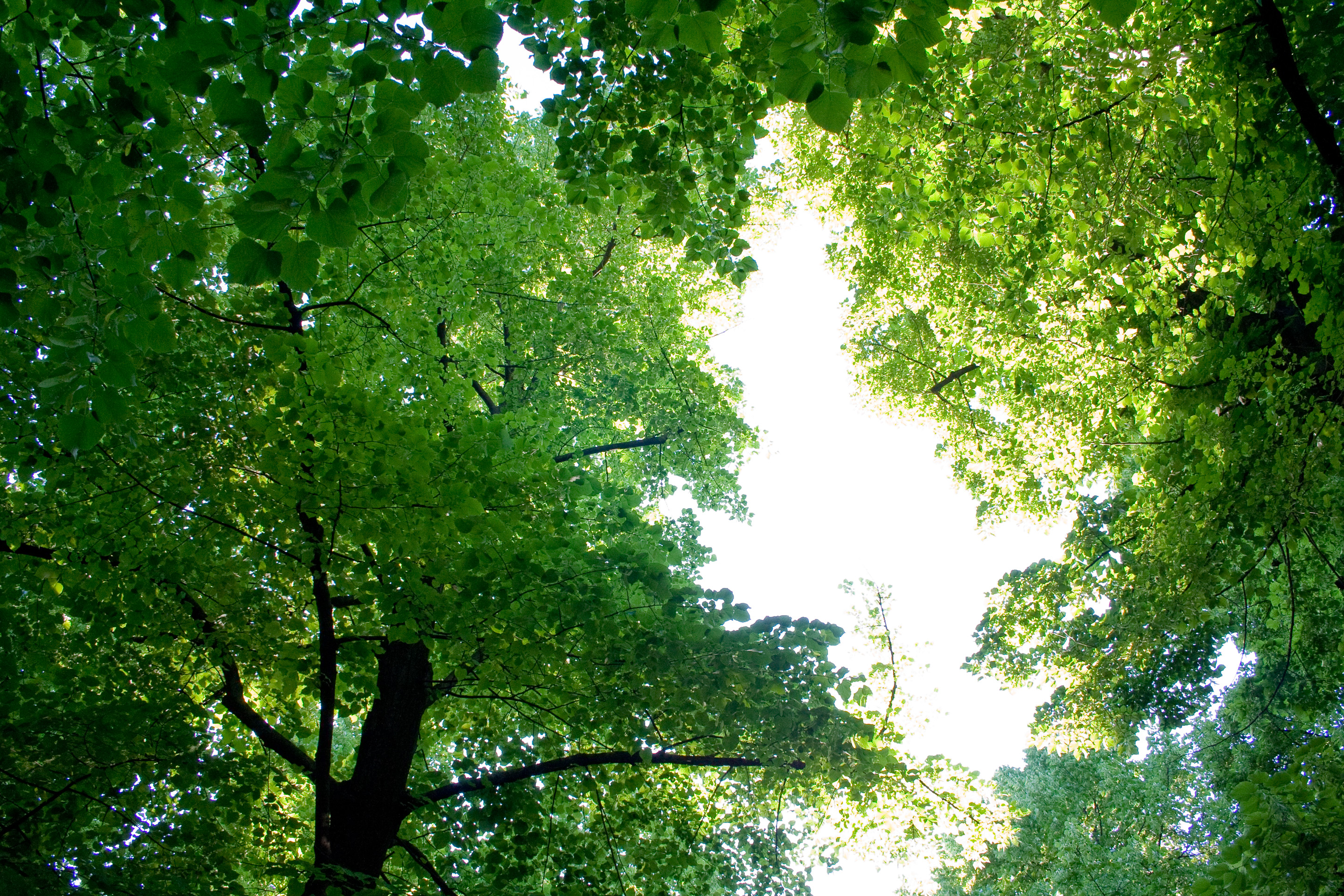 135 · The Breach
Click to view previous post
