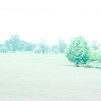 137 · Burned out