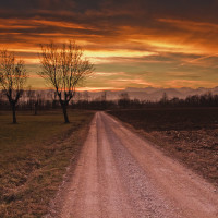 156 · Riding the sunset, I
