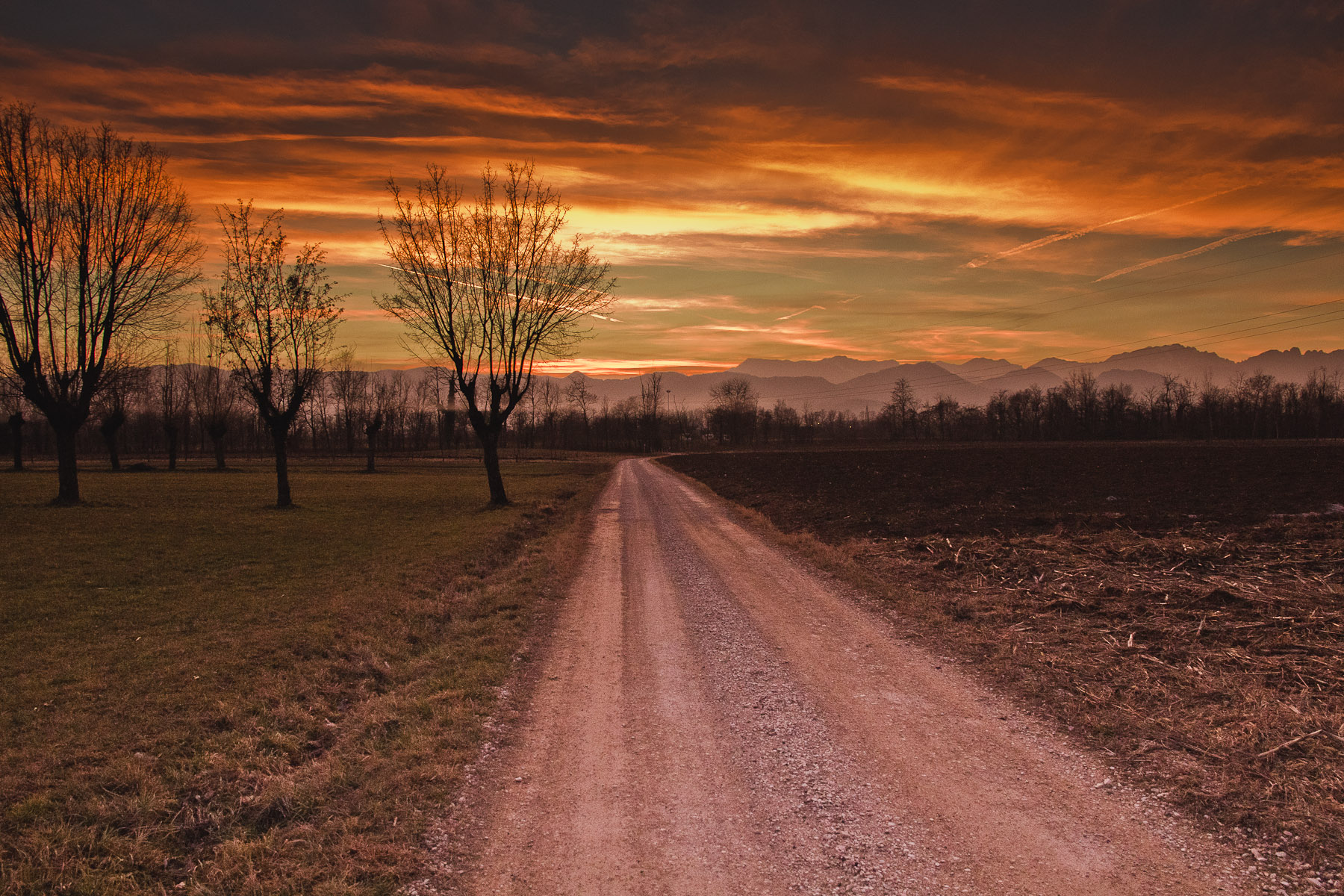 156 · Riding the sunset, I
Click to view previous post