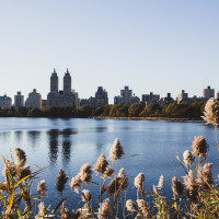 167 · Reservoir, Central Park
Click to view previous post