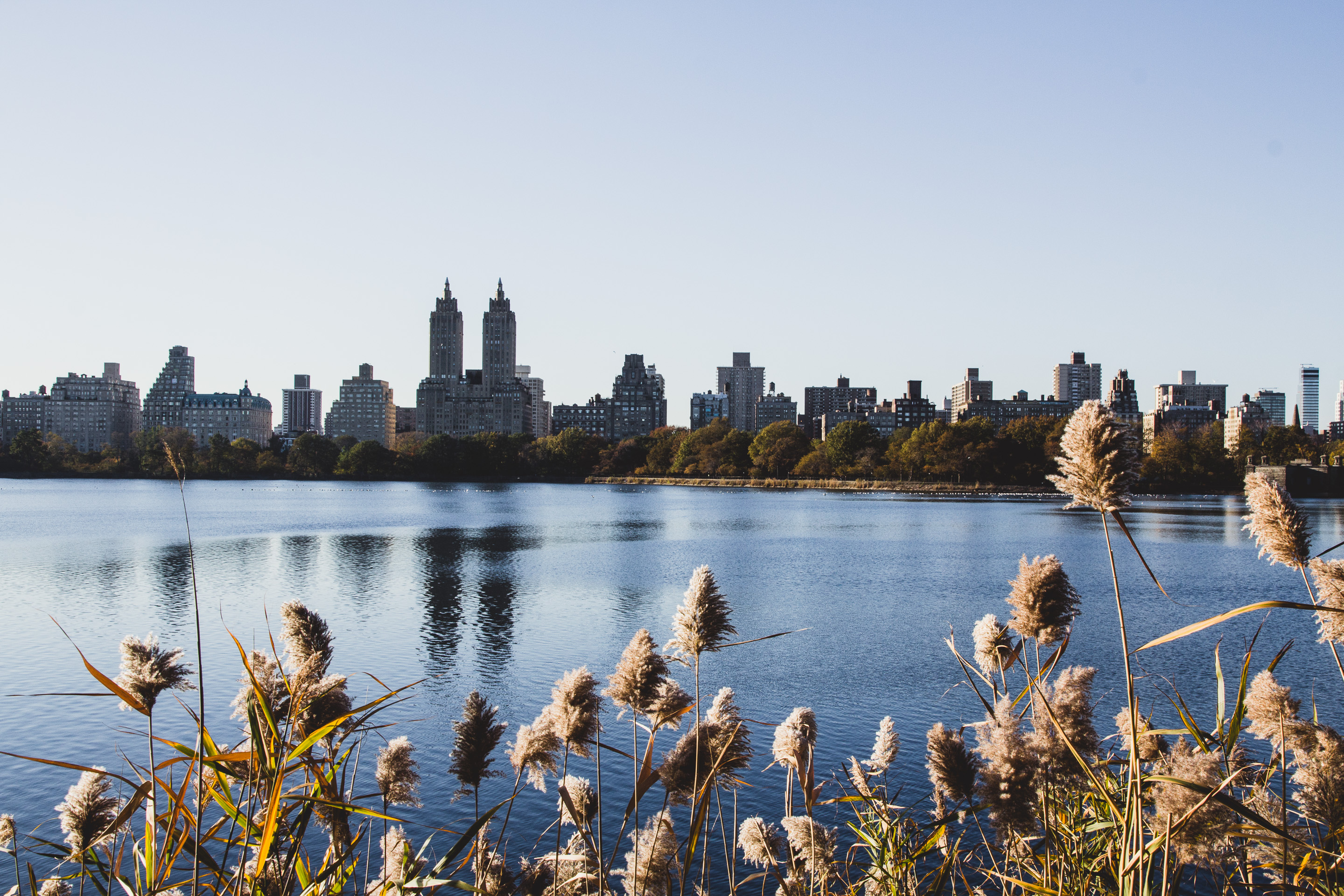 167 · Reservoir, Central Park
Click to view previous post