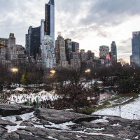 181 · Woolman Rink
Click to view previous post