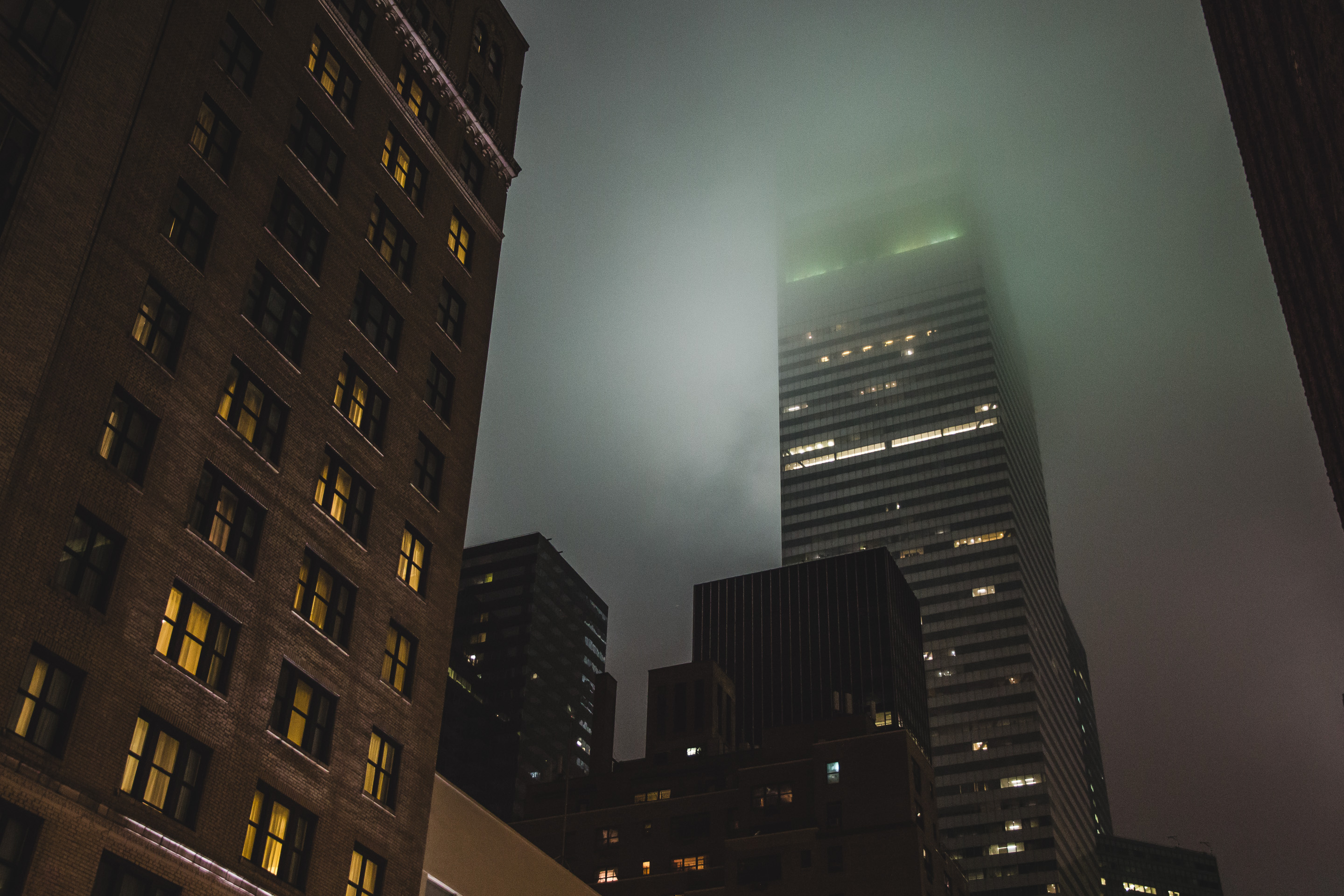 201 · Licking the fog
Click to view previous post