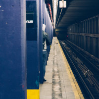 242 · Purple col