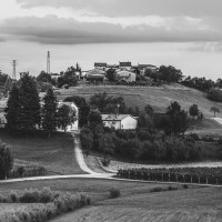 252 · Grey hill
Click to view previous post