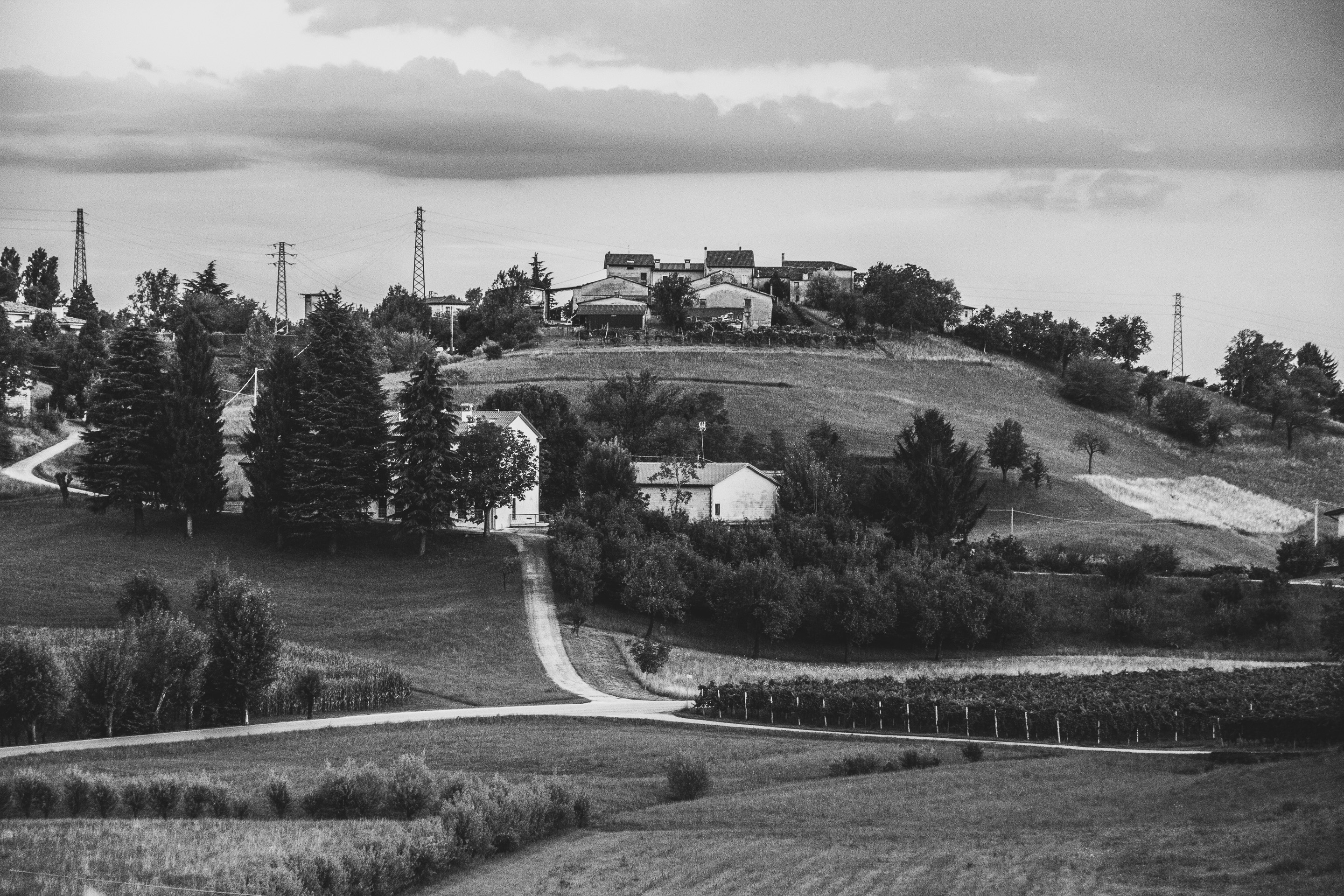 252 · Grey hill
Click to view previous post