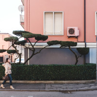 263 · Lady in pink