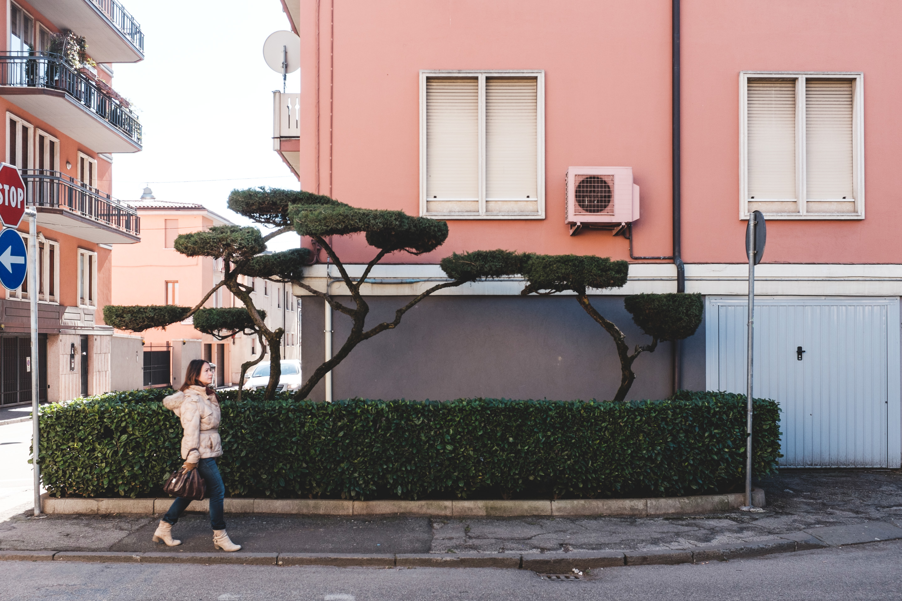 263 · Lady in pink
Click to view previous post