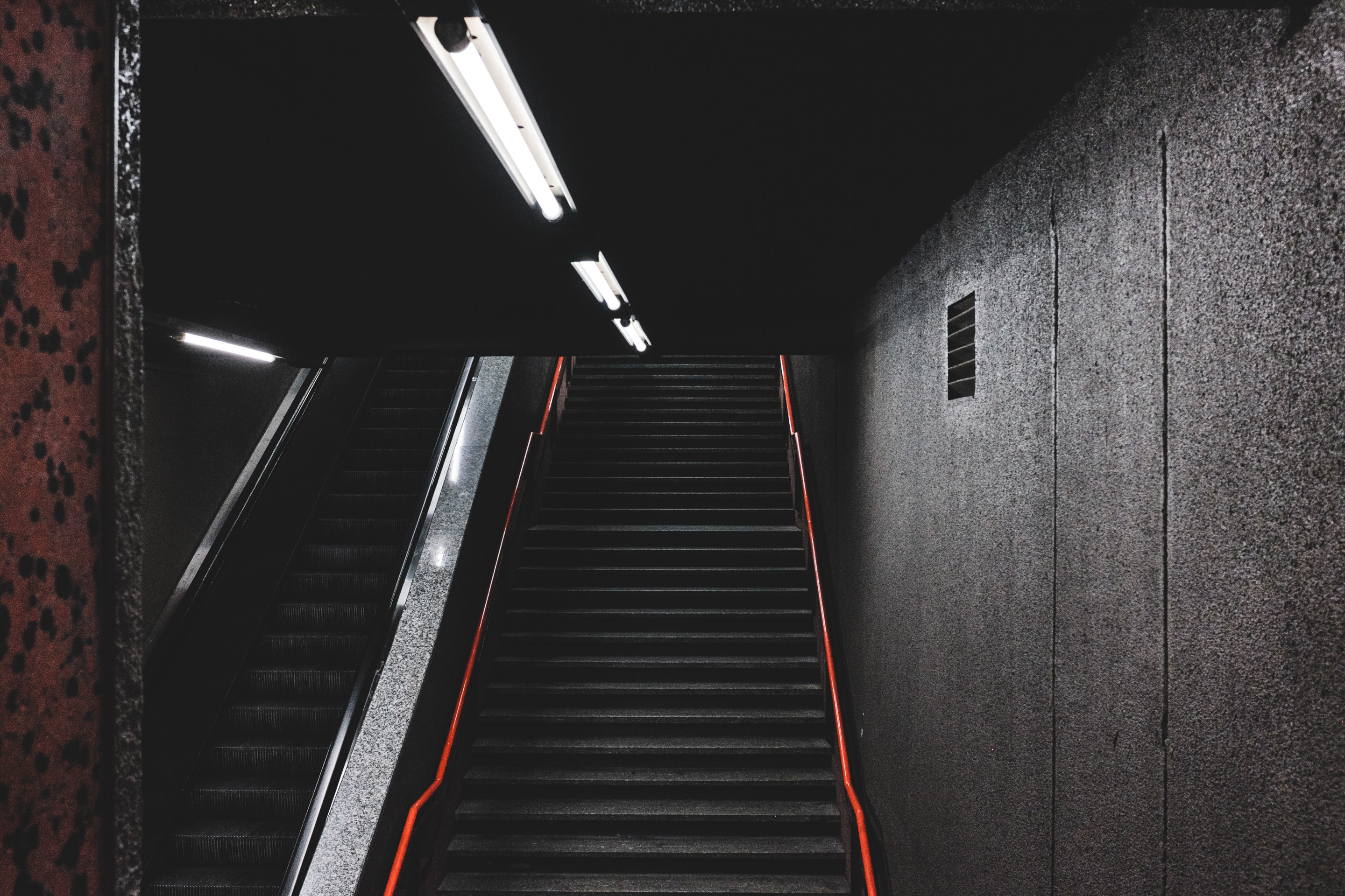 293 · /  \
Click to view previous post