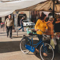 312 · The blue bike