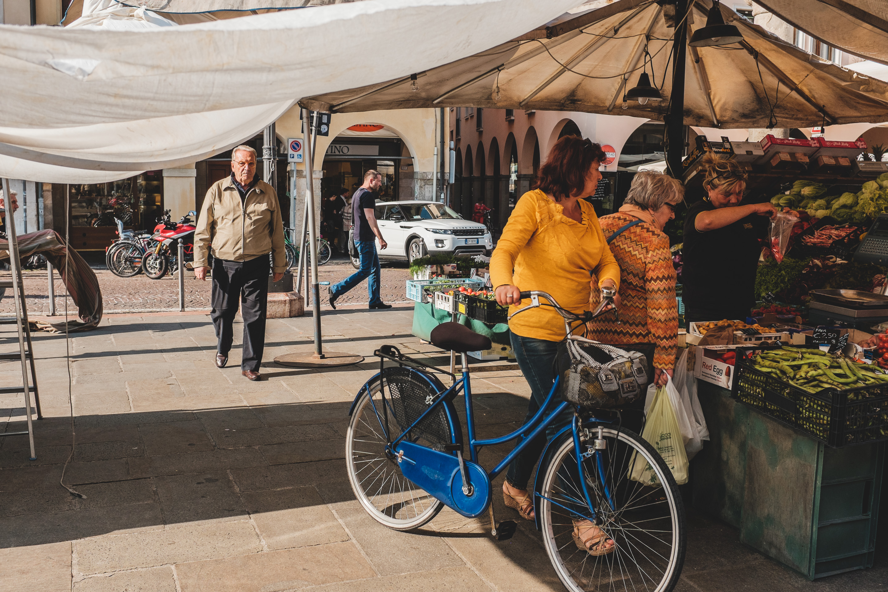 312 · The blue bike
Click to view previous post
