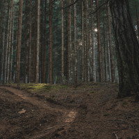 332 · Faint sunlight