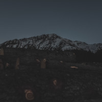 333 · At the edge of night