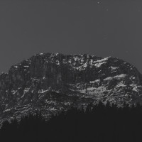 334 · And into the night