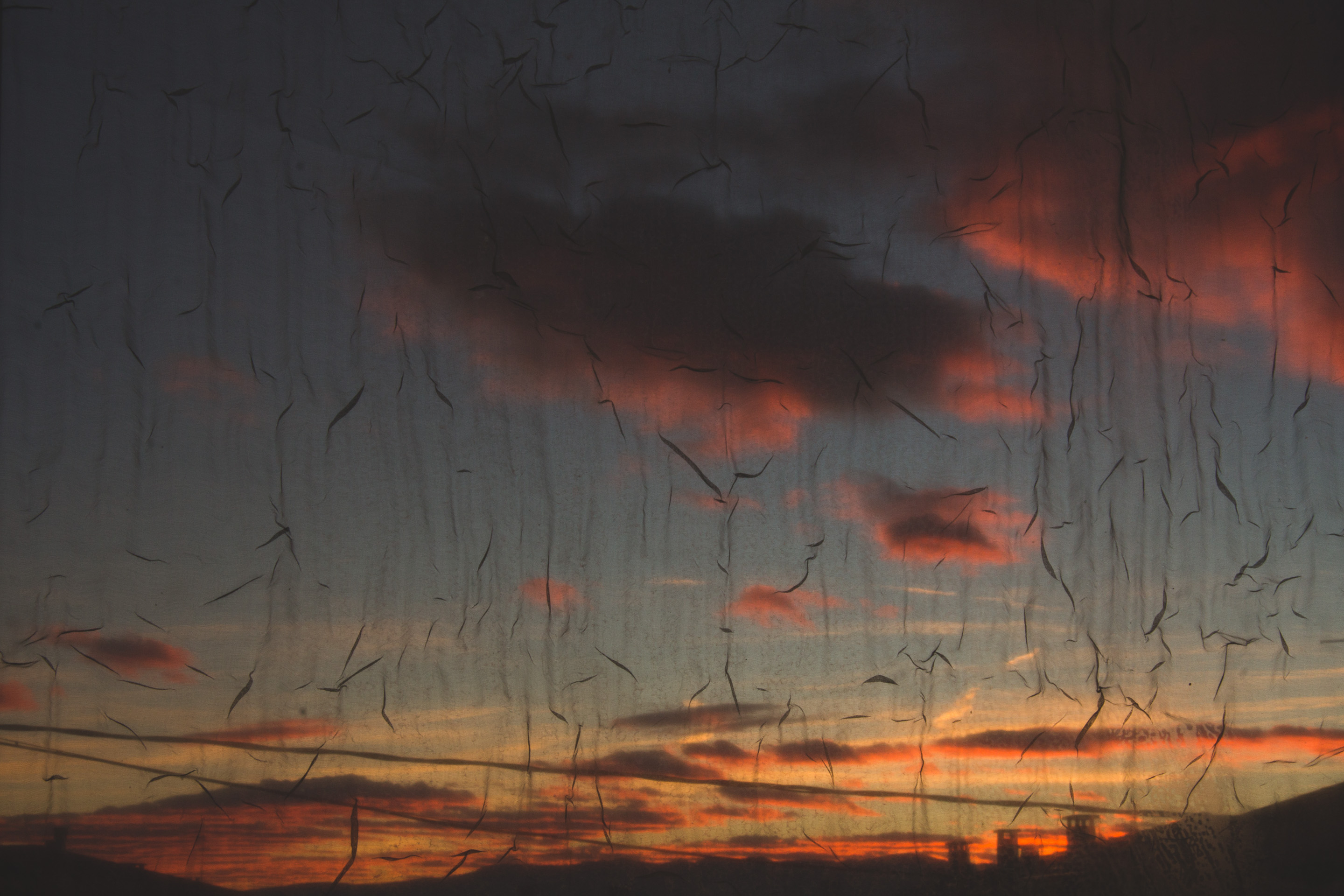342 · Sunset through
Click to view previous post