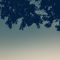 344 · Pelham