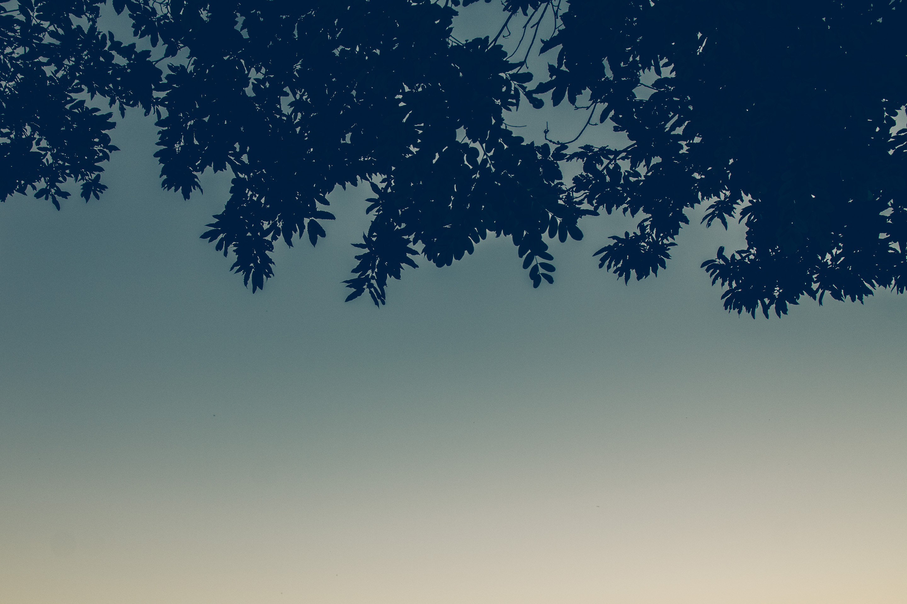 344 · Pelham
Click to view previous post
