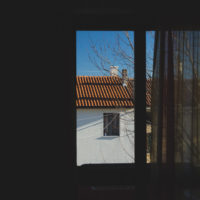 366 · Polarized