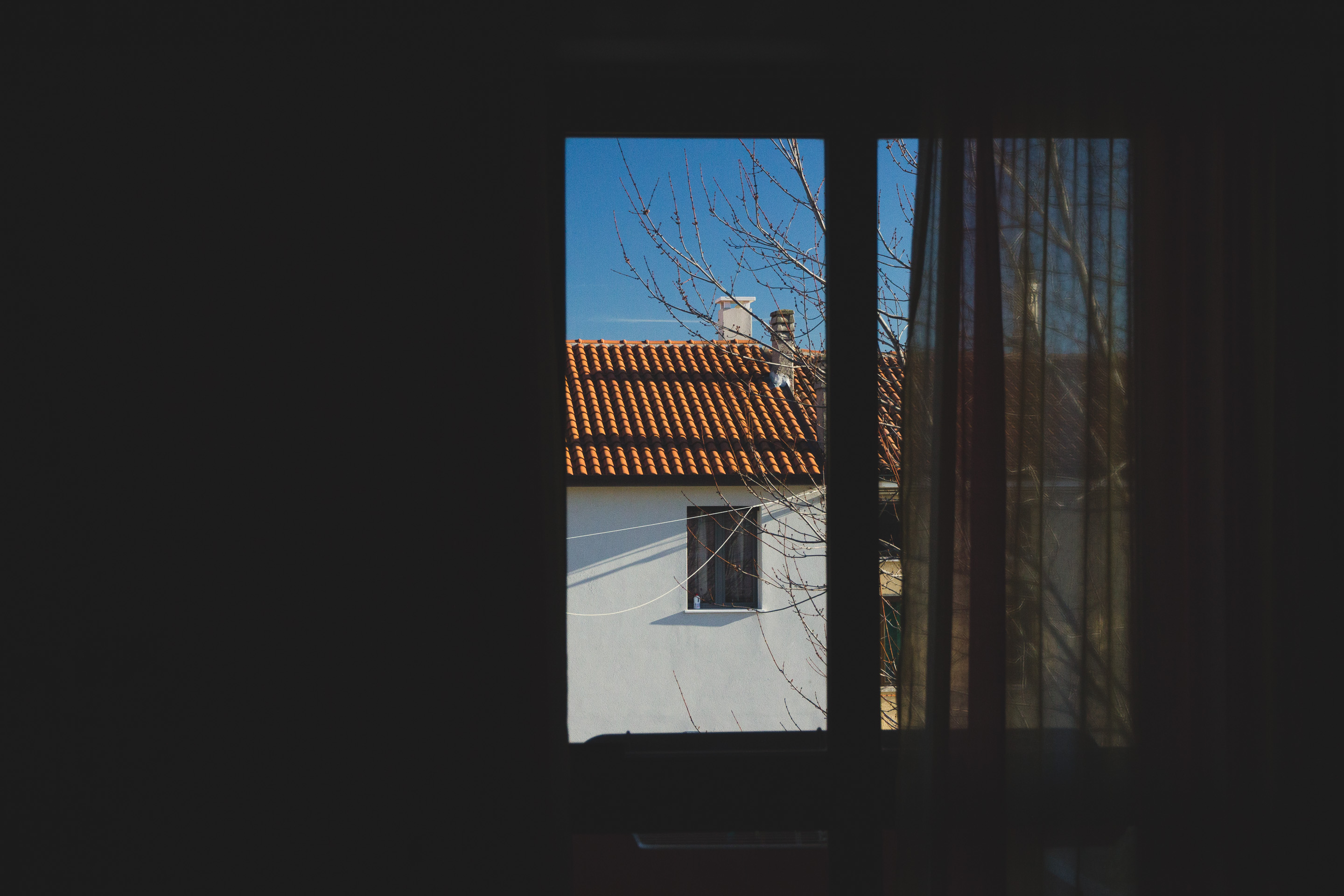 366 · Polarized
Click to view previous post