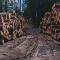 381 · Logs
