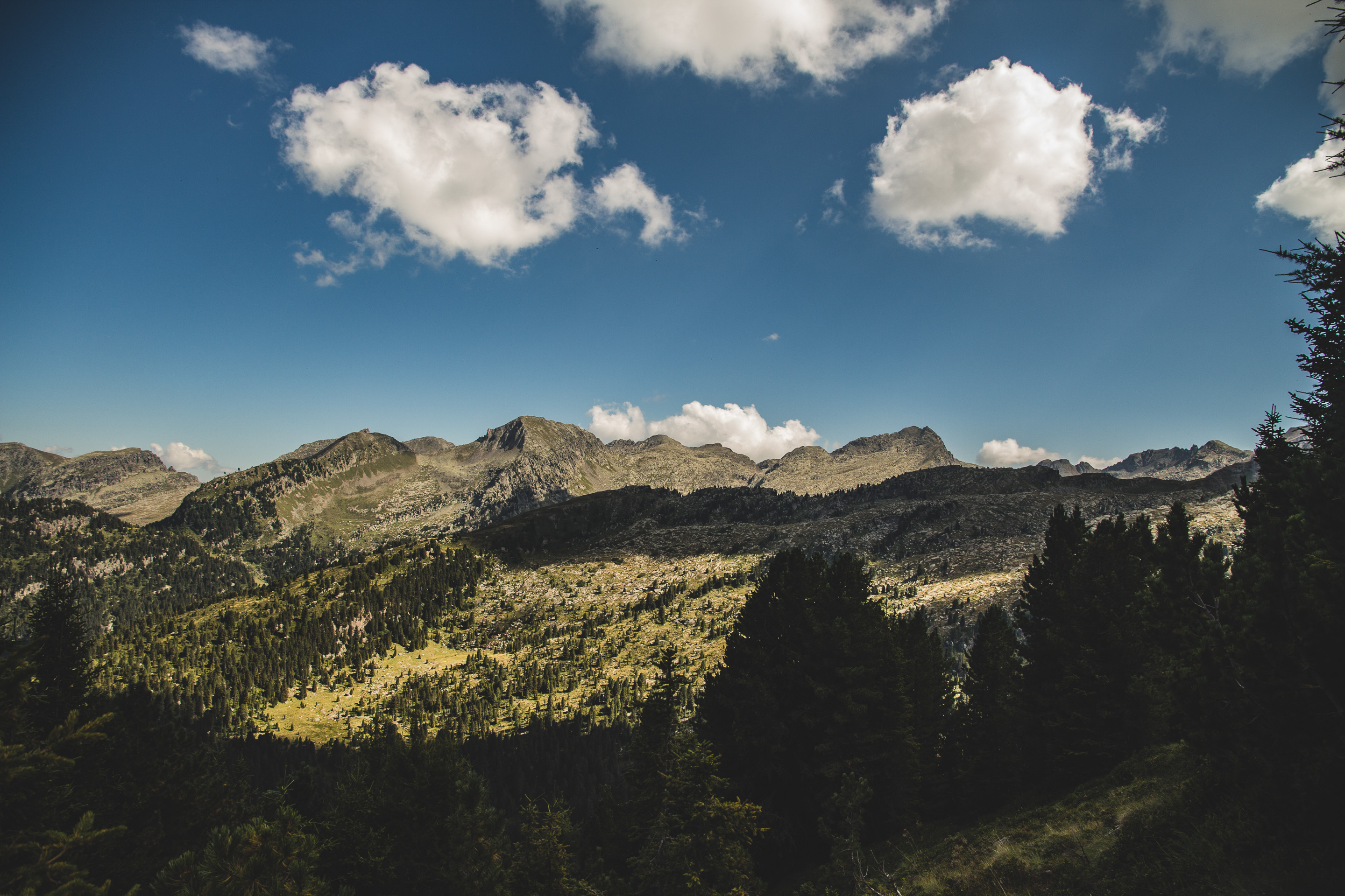 384 · Green valley
Click to view previous post
