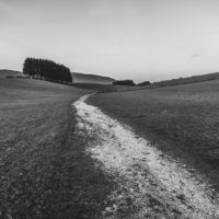 389 · Peace Trail